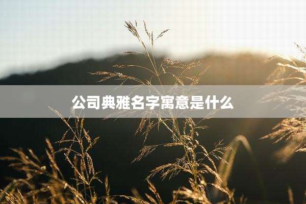公司典雅名字寓意是什么