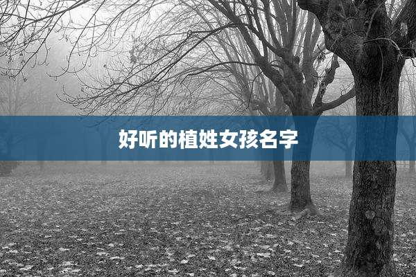 好听的植姓女孩名字