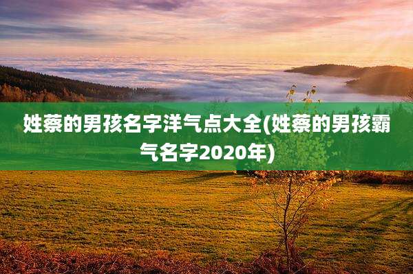 姓蔡的男孩名字洋气点大全(姓蔡的男孩霸气名字2020年)