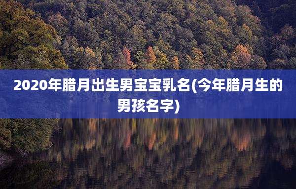 2020年腊月出生男宝宝乳名(今年腊月生的男孩名字)