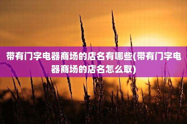 带有门字电器商场的店名有哪些(带有门字电器商场的店名怎么取)