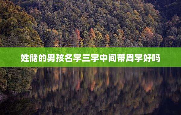 姓储的男孩名字三字中间带周字好吗