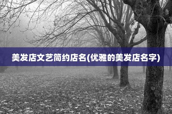 美发店文艺简约店名(优雅的美发店名字)