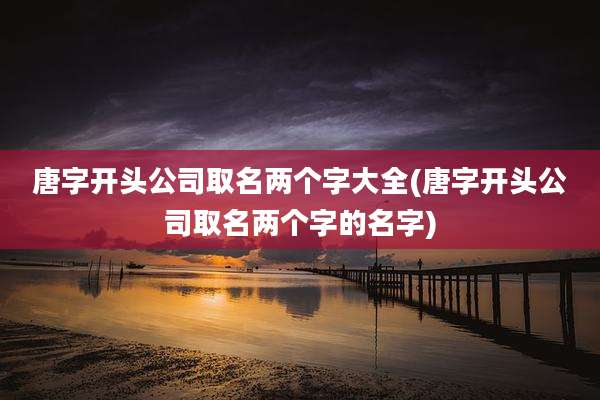 唐字开头公司取名两个字大全(唐字开头公司取名两个字的名字)