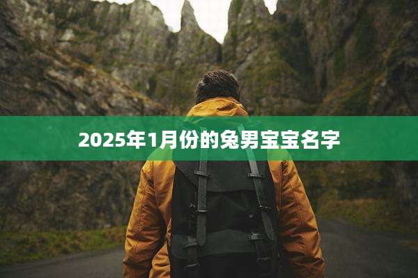 2025年1月份的兔男宝宝名字