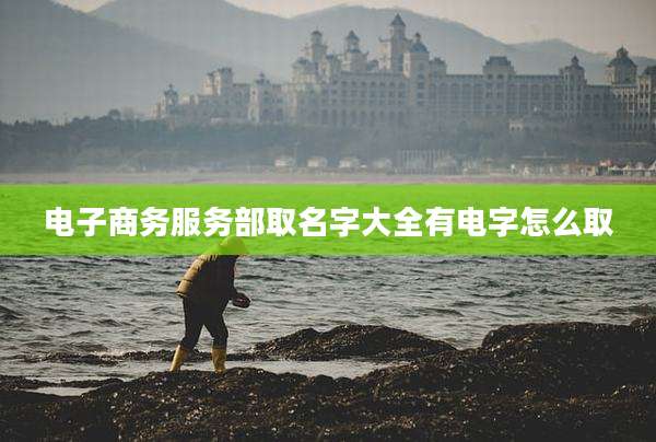 电子商务服务部取名字大全有电字怎么取