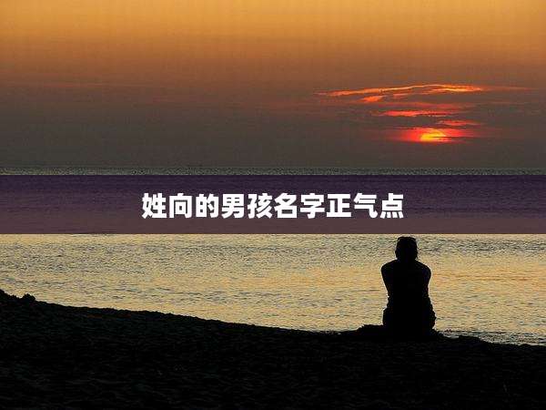 姓向的男孩名字正气点