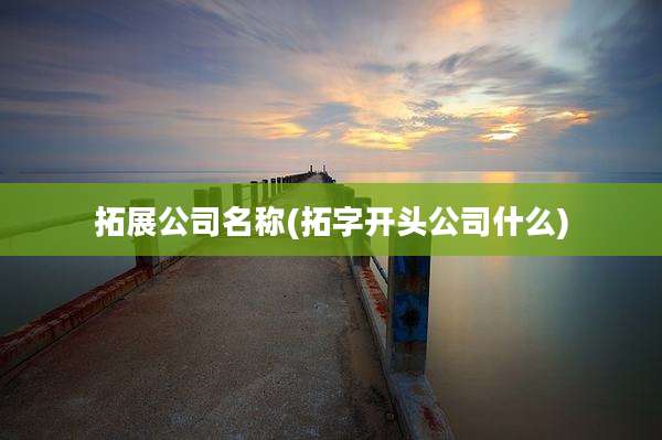 拓展公司名称(拓字开头公司什么)