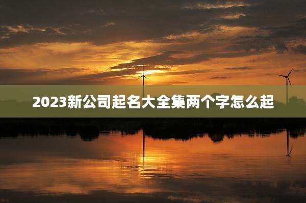 2023新公司起名大全集两个字怎么起