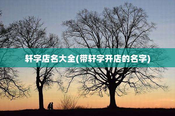 轩字店名大全(带轩字开店的名字)