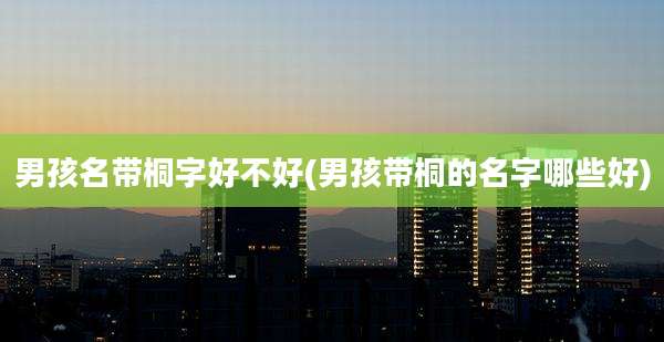 男孩名带桐字好不好(男孩带桐的名字哪些好)