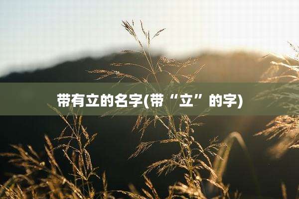 带有立的名字(带“立”的字)