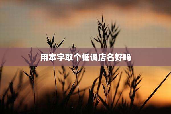 用本字取个低调店名好吗