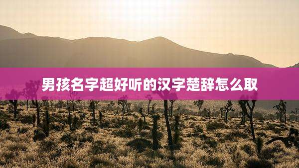 男孩名字超好听的汉字楚辞怎么取
