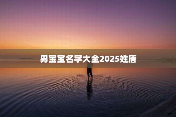 男宝宝名字大全2025姓唐