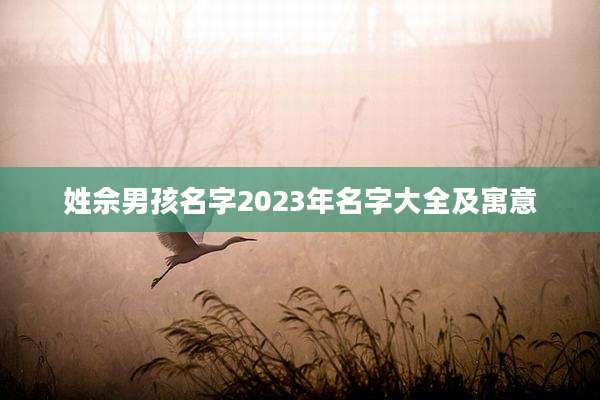 姓佘男孩名字2023年名字大全及寓意