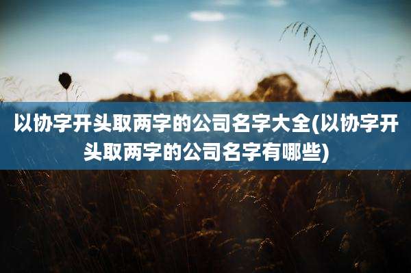 以协字开头取两字的公司名字大全(以协字开头取两字的公司名字有哪些)