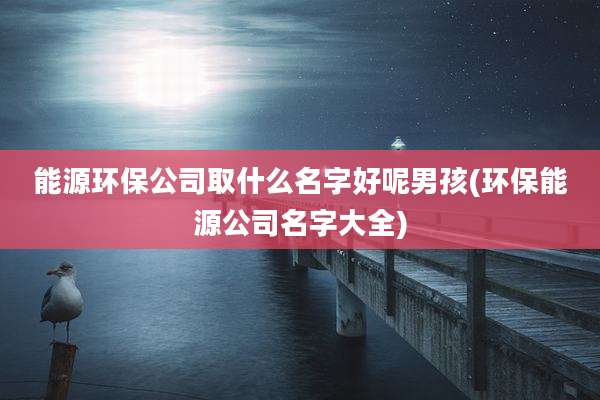 能源环保公司取什么名字好呢男孩(环保能源公司名字大全)