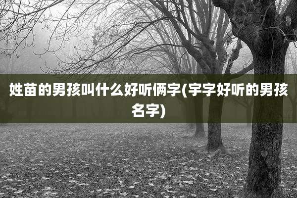 姓苗的男孩叫什么好听俩字(宇字好听的男孩名字)