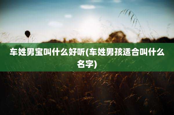车姓男宝叫什么好听(车姓男孩适合叫什么名字)