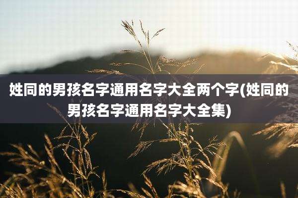 姓同的男孩名字通用名字大全两个字(姓同的男孩名字通用名字大全集)