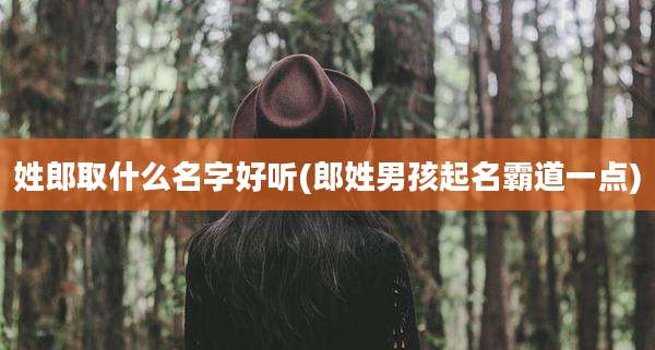 姓郎取什么名字好听(郎姓男孩起名霸道一点)