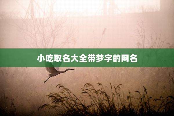 小吃取名大全带梦字的网名
