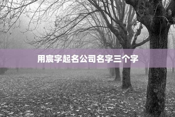 用宸字起名公司名字三个字