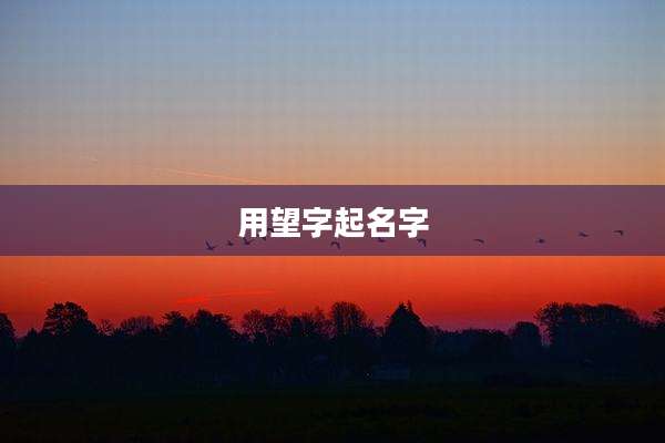 用望字起名字