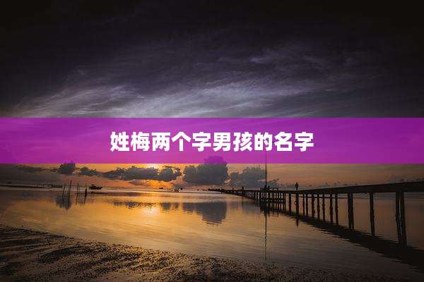 姓梅两个字男孩的名字