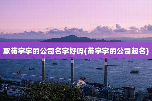 取带宇字的公司名字好吗(带宇字的公司起名)