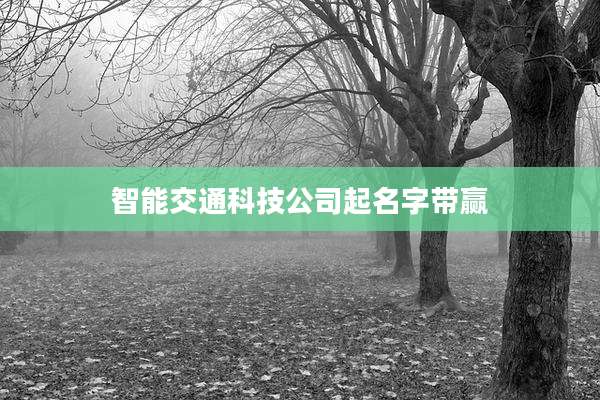 智能交通科技公司起名字带赢