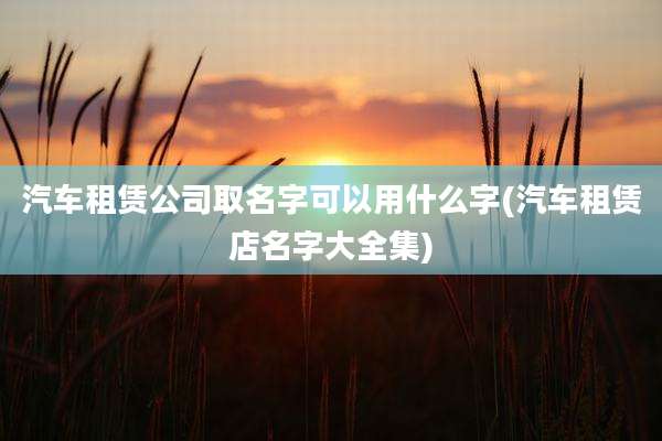 汽车租赁公司取名字可以用什么字(汽车租赁店名字大全集)