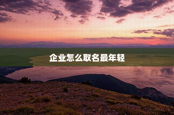 企业怎么取名最年轻