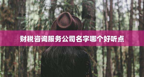 财税咨询服务公司名字哪个好听点