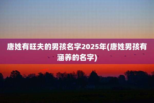 唐姓有旺夫的男孩名字2025年(唐姓男孩有涵养的名字)