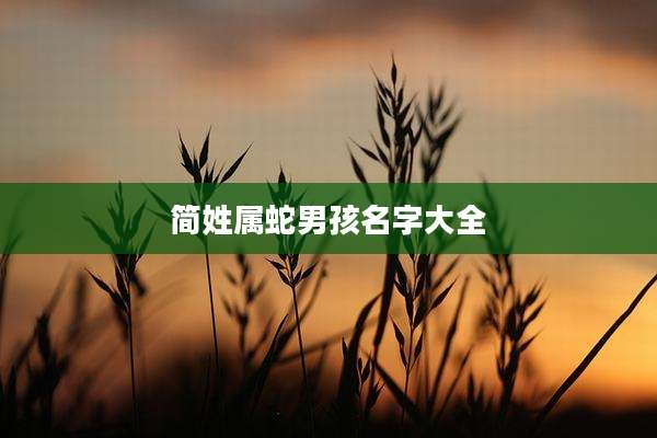 简姓属蛇男孩名字大全