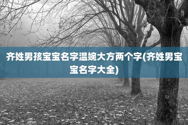齐姓男孩宝宝名字温婉大方两个字(齐姓男宝宝名字大全)