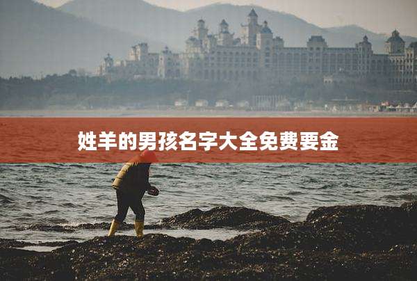 姓羊的男孩名字大全免费要金