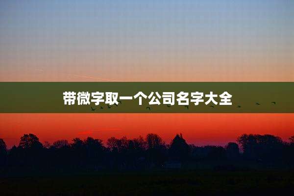 带微字取一个公司名字大全