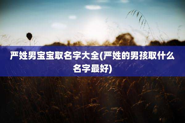 严姓男宝宝取名字大全(严姓的男孩取什么名字最好)