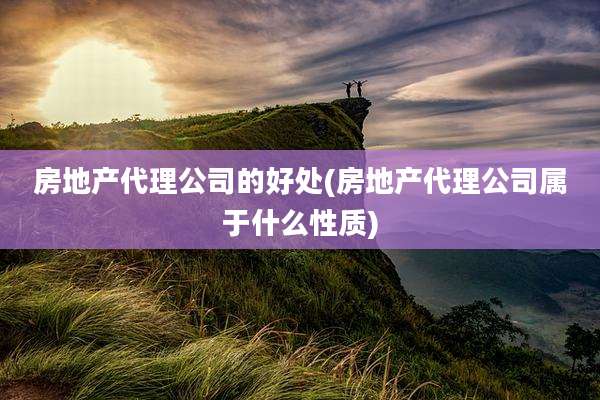 房地产代理公司的好处(房地产代理公司属于什么性质)