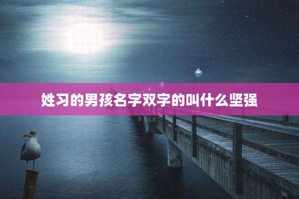 姓习的男孩名字双字的叫什么坚强