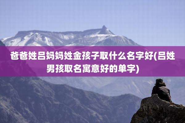 爸爸姓吕妈妈姓金孩子取什么名字好(吕姓男孩取名寓意好的单字)