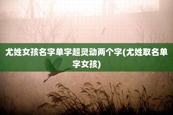 尤姓女孩名字单字超灵动两个字(尤姓取名单字女孩)