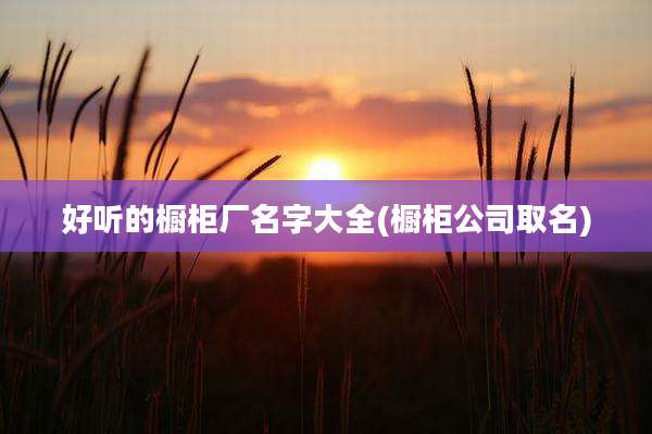 好听的橱柜厂名字大全(橱柜公司取名)