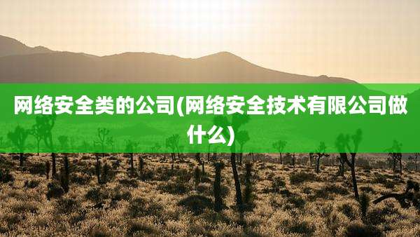 网络安全类的公司(网络安全技术有限公司做什么)