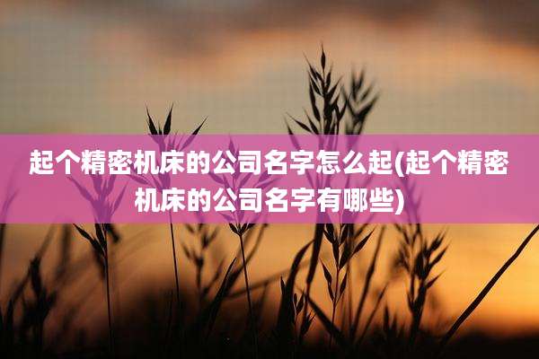 起个精密机床的公司名字怎么起(起个精密机床的公司名字有哪些)