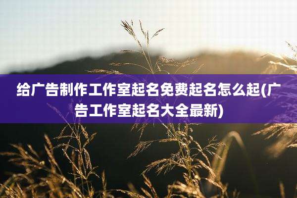 给广告制作工作室起名免费起名怎么起(广告工作室起名大全最新)