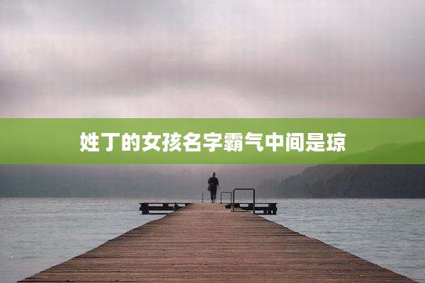 姓丁的女孩名字霸气中间是琼